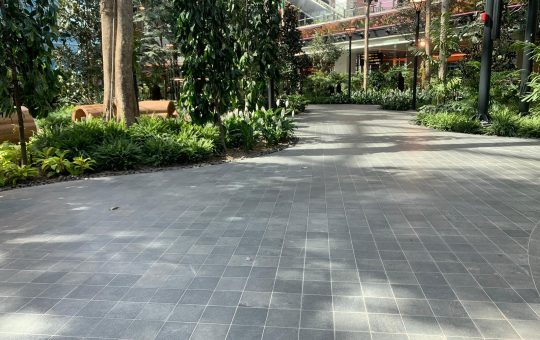 WhatsApp Image 2024 09 09 at 10.16.24 AM (1)