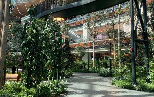 WhatsApp Image 2024 09 09 at 10.16.24 AM