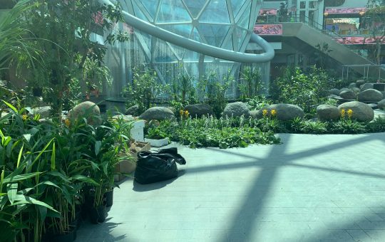 WhatsApp Image 2024 09 09 at 10.17.45 AM